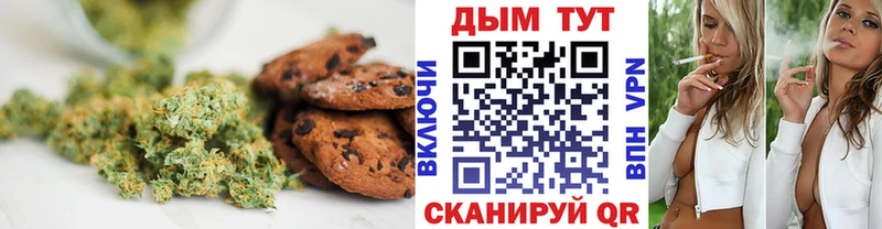 продажа наркотиков Короча Cannafood марихуана