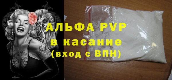 PSILOCYBIN Покров