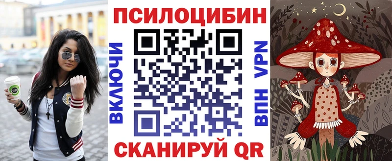 мориарти официальный сайт  Короча  Галлюциногенные грибы Psilocybe 